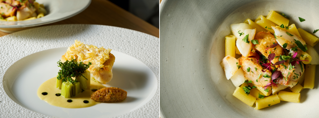 SCALAE　Aria アリア