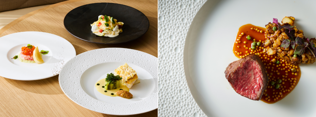 SCALAE　Terra テッラ