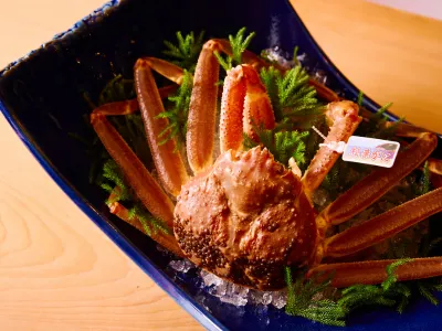 KIZAHASHI カウンター席