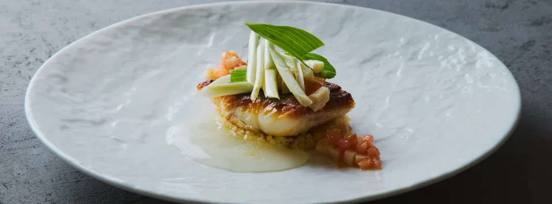 SCALAE　Aria アリア