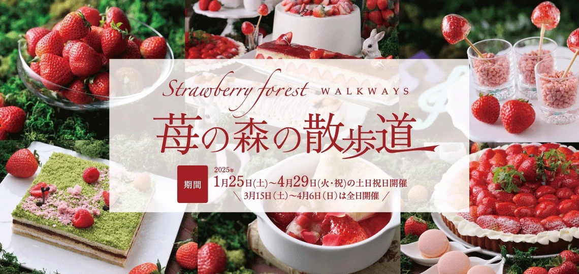 苺の森の散歩道 2025年1月25日（土）から4月29日（火・祝）の土日祝日開催 3月15日（土）から4月6日（日）は全日開催