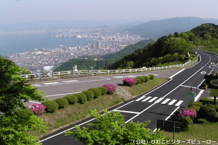 お肌にうれしいミラブル導入