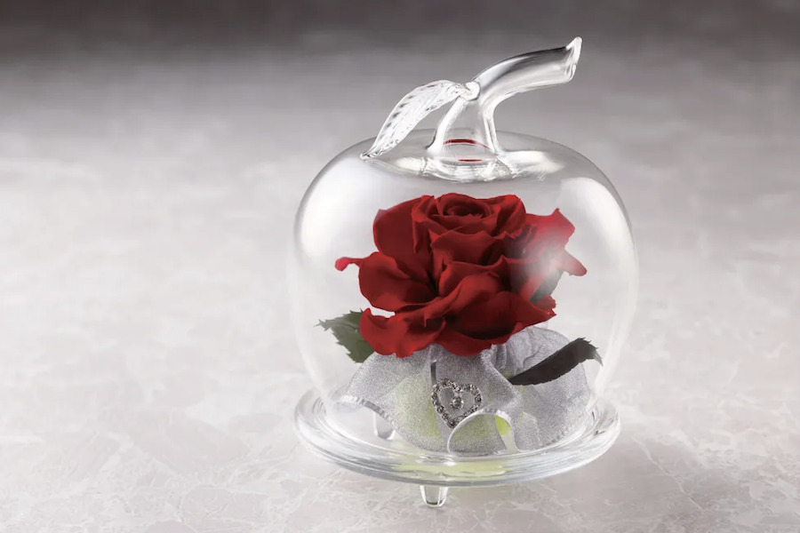 【NEW／ガラスドーム】