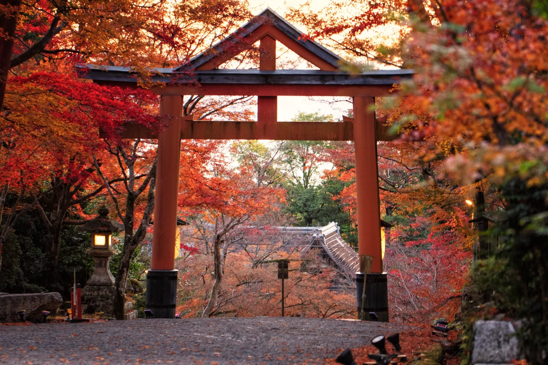 日吉大社の紅葉