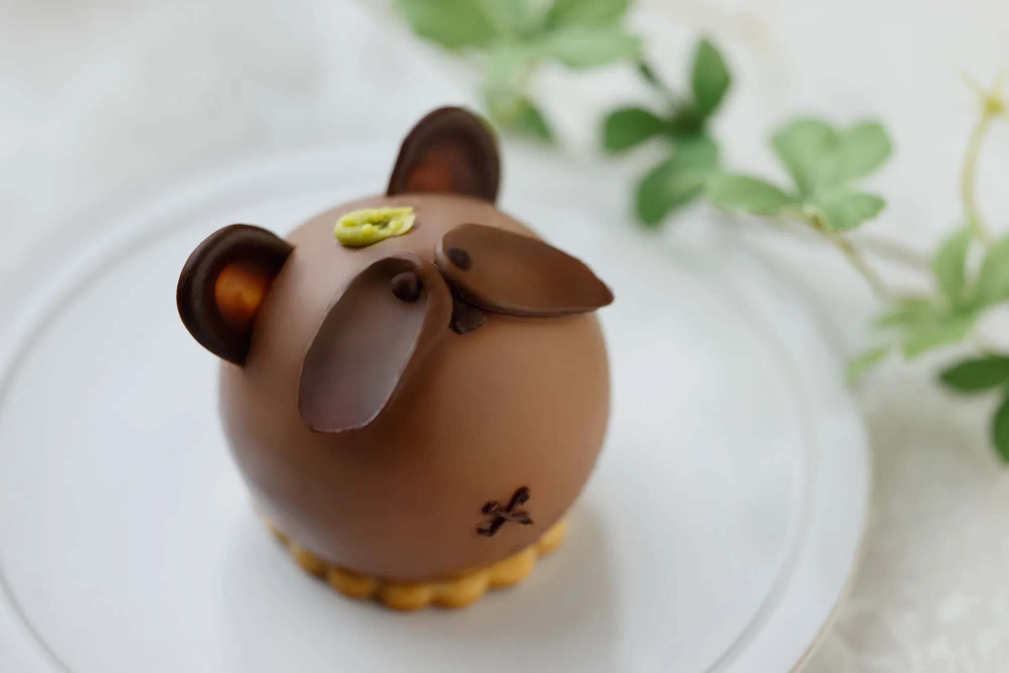 Tanuki ~たぬき~