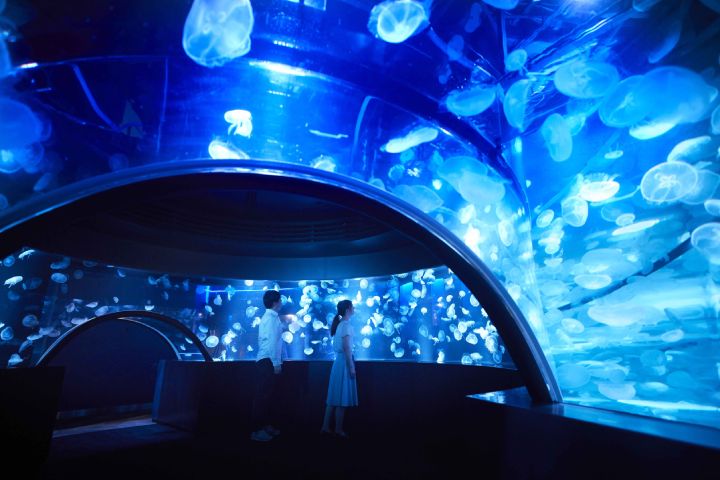 京都水族館