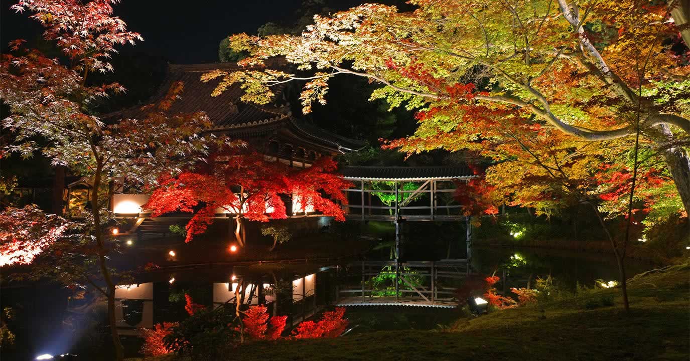 京都 寺院での夜間貸切拝観や非公開エリアを見学 歴史的人物の軌跡に触れる特別体験 The Thousand Kyoto ザ サウザンドキョウト 宿泊 観光に最適な京都駅徒歩2分のラグジュアリーホテル 公式