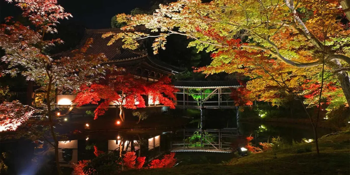 高台寺イメージ