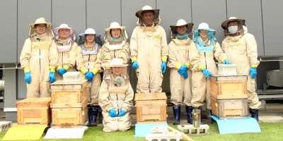 都市養蜂プロジェクトチーム