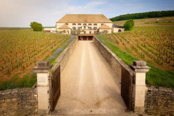 Louis Latour (ルイ・ラトゥール)のワイナリー