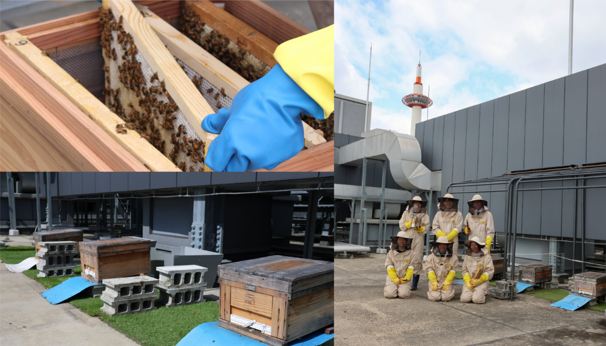 都市養蜂見学ツアー