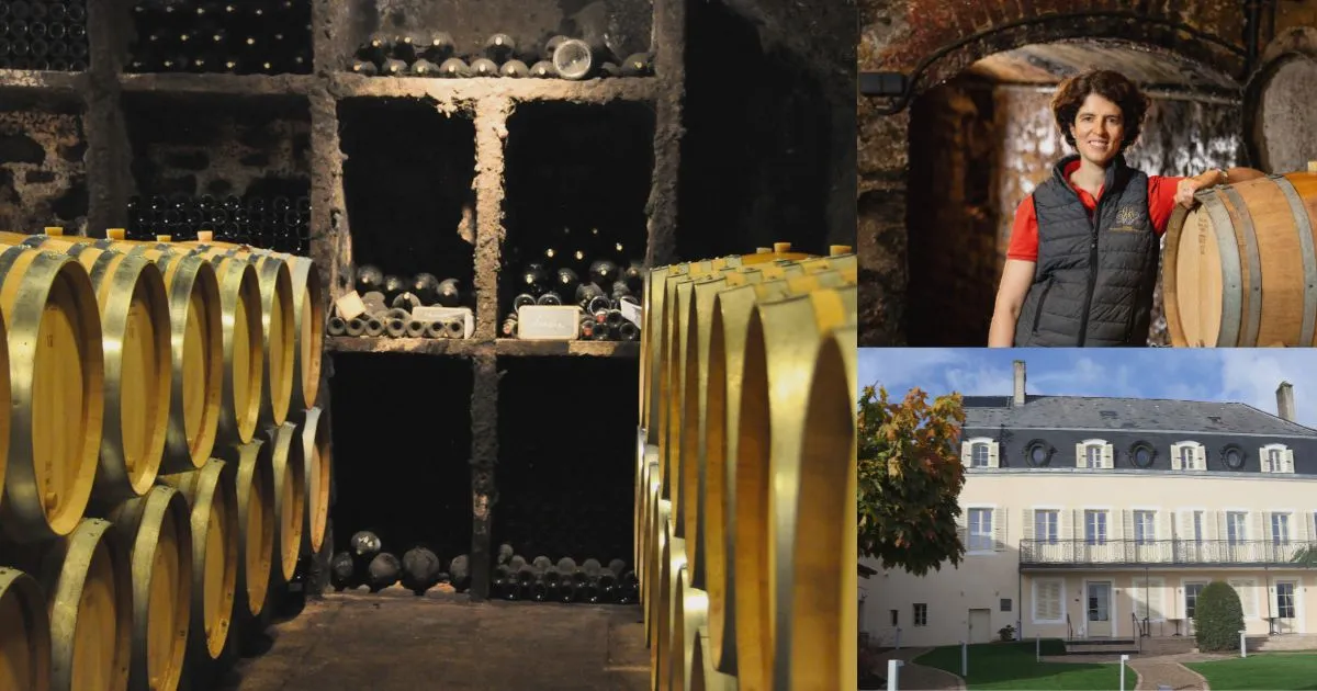 ティボー・ジョベール