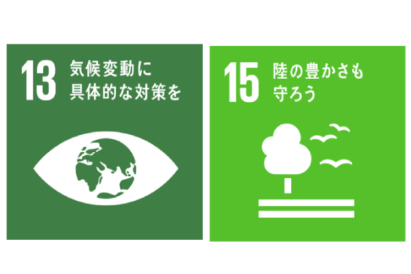 SDGs