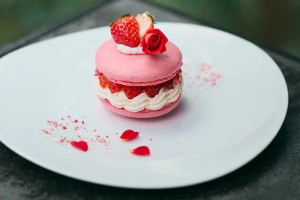 Gateau Printemps (ガトープランタン)