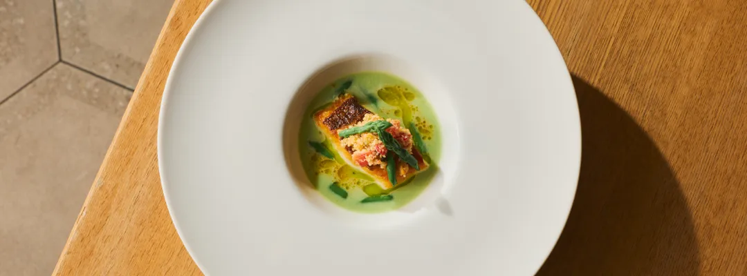 SCALAE　Stelo ステーロ