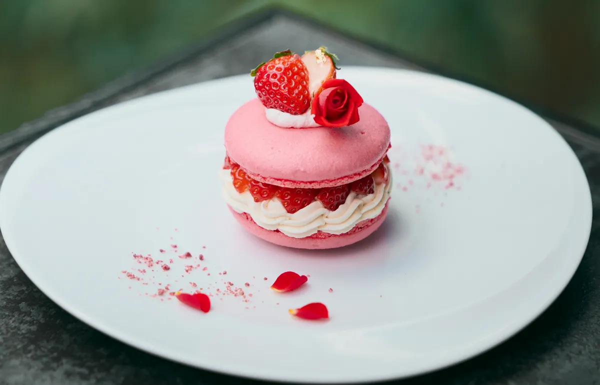 Gateau Printemps(ガトープランタン)