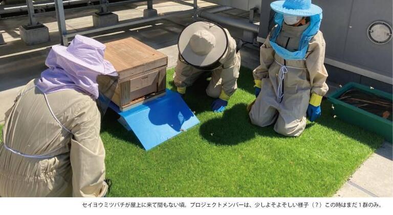 【THE THOUSAND KYOTOの都市養蜂プロジェクト】「女王蜂の交代②」～Vol.8～