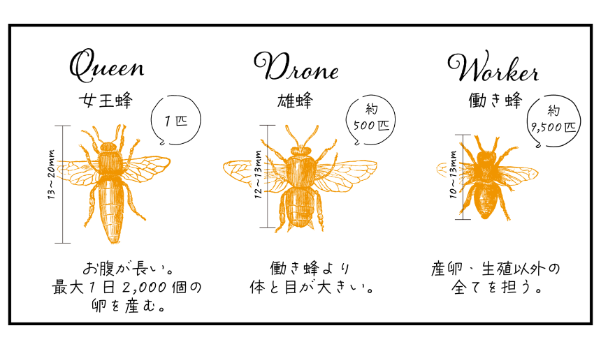 honey-blog_img01.png