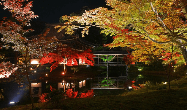 高台寺秋の臥龍池＿夜