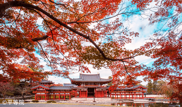 平等院 鳳凰堂と紅葉.png