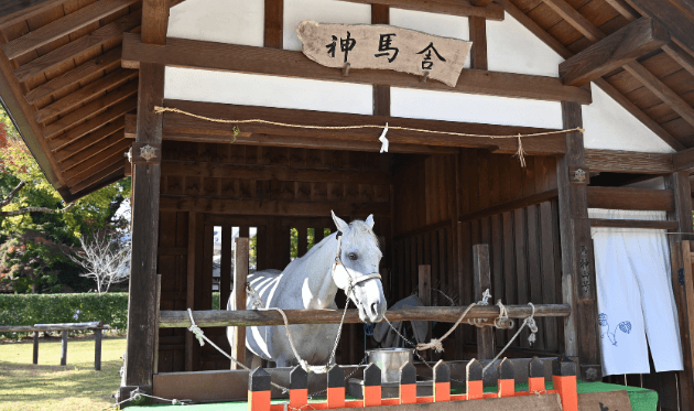 上賀茂神社の神馬舎