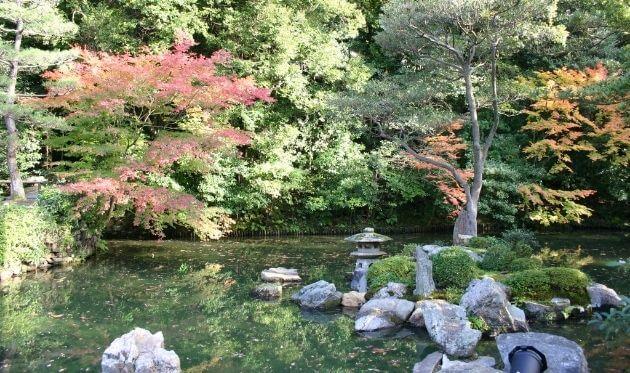 知恩院　方丈庭園　秋 (1).jpg