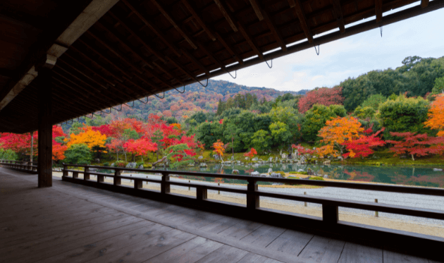 室内から見た天龍寺の紅葉