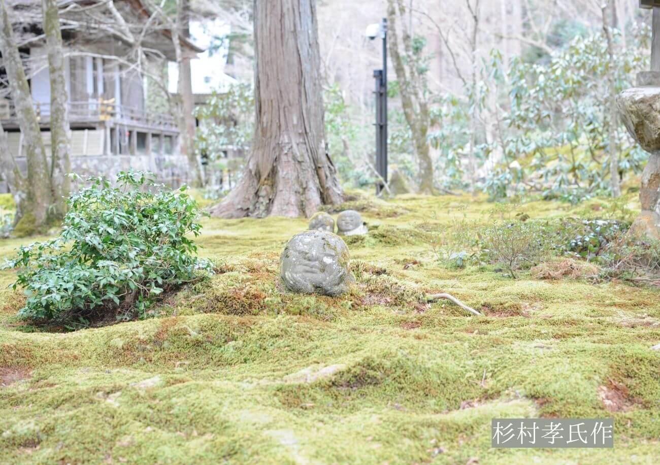 人気観光スポット 三千院 の見どころ 美しく苔むした庭園 The Thousand Kyoto ザ サウザンド京都 宿泊 観光に最適な京都駅徒歩2分のラグジュアリーホテル 公式