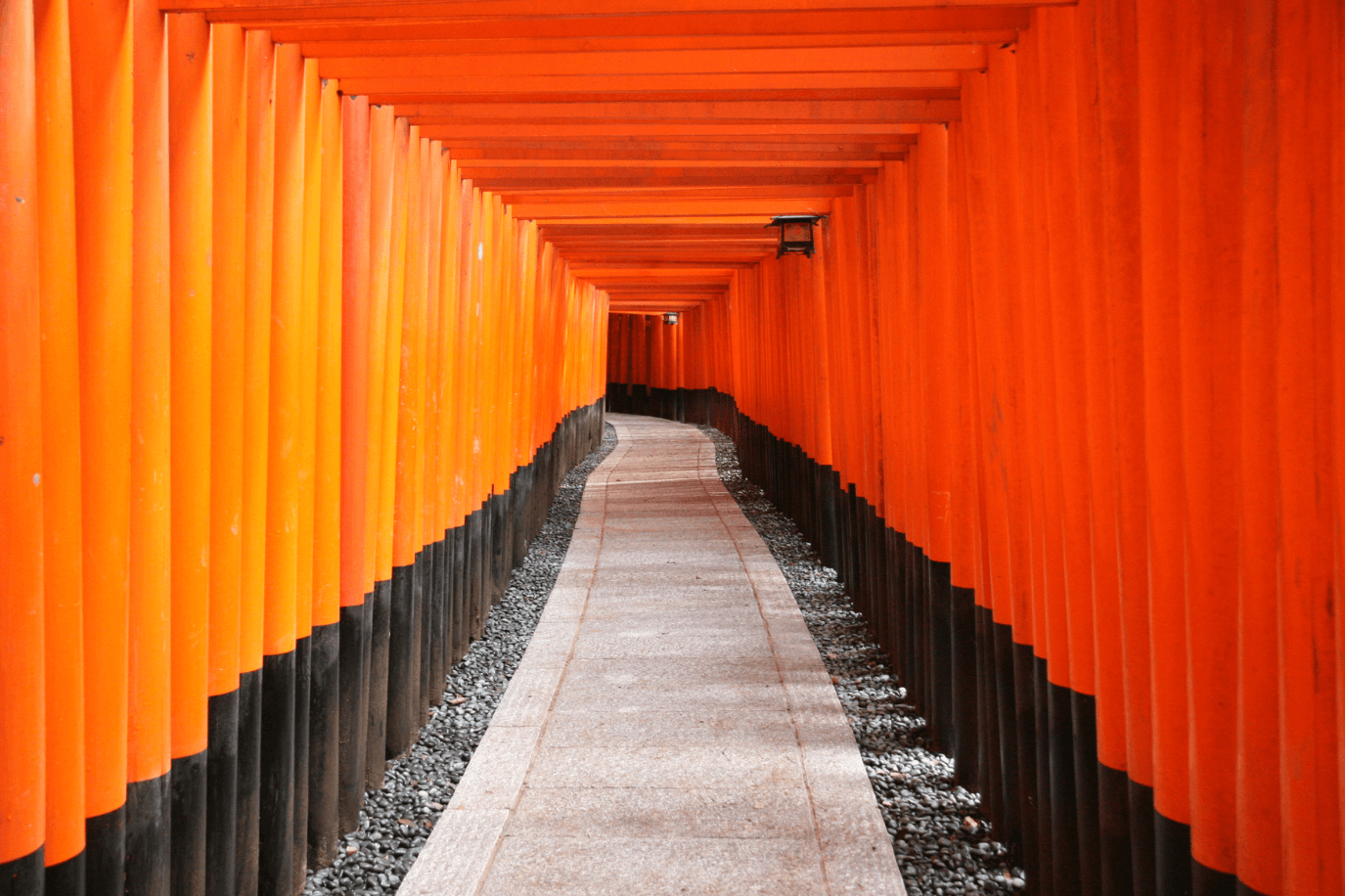 京都 伏見 伏見稲荷大社 の見どころ 歴史あるお稲荷さんの 千本鳥居 The Thousand Kyoto ザ サウザンド京都 宿泊 観光に最適な京都駅徒歩2分のラグジュアリーホテル 公式