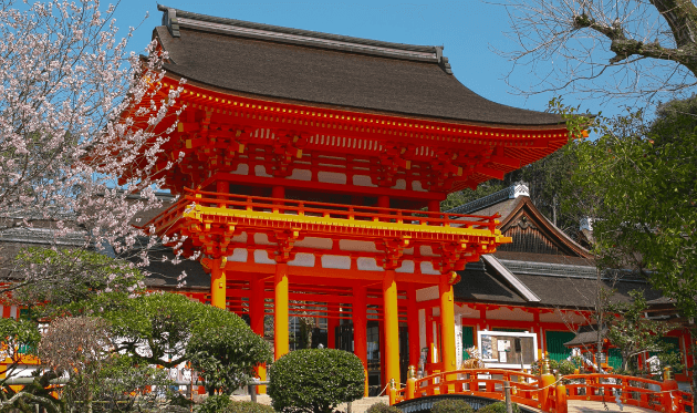 上賀茂神社 楼門 桜 (1).png