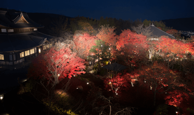 将軍塚青龍殿の紅葉ライトアップ