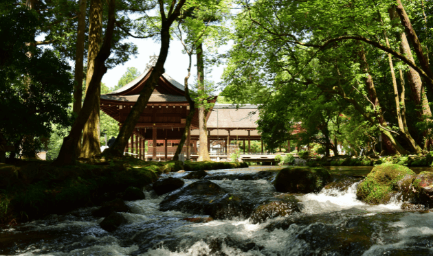 上賀茂神社 ならの小川 (1).png