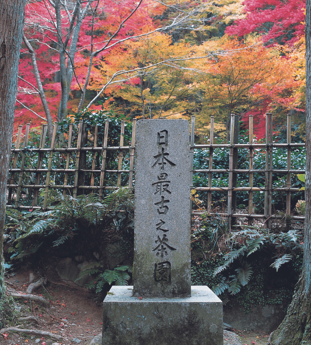 日本最古之茶園の画像