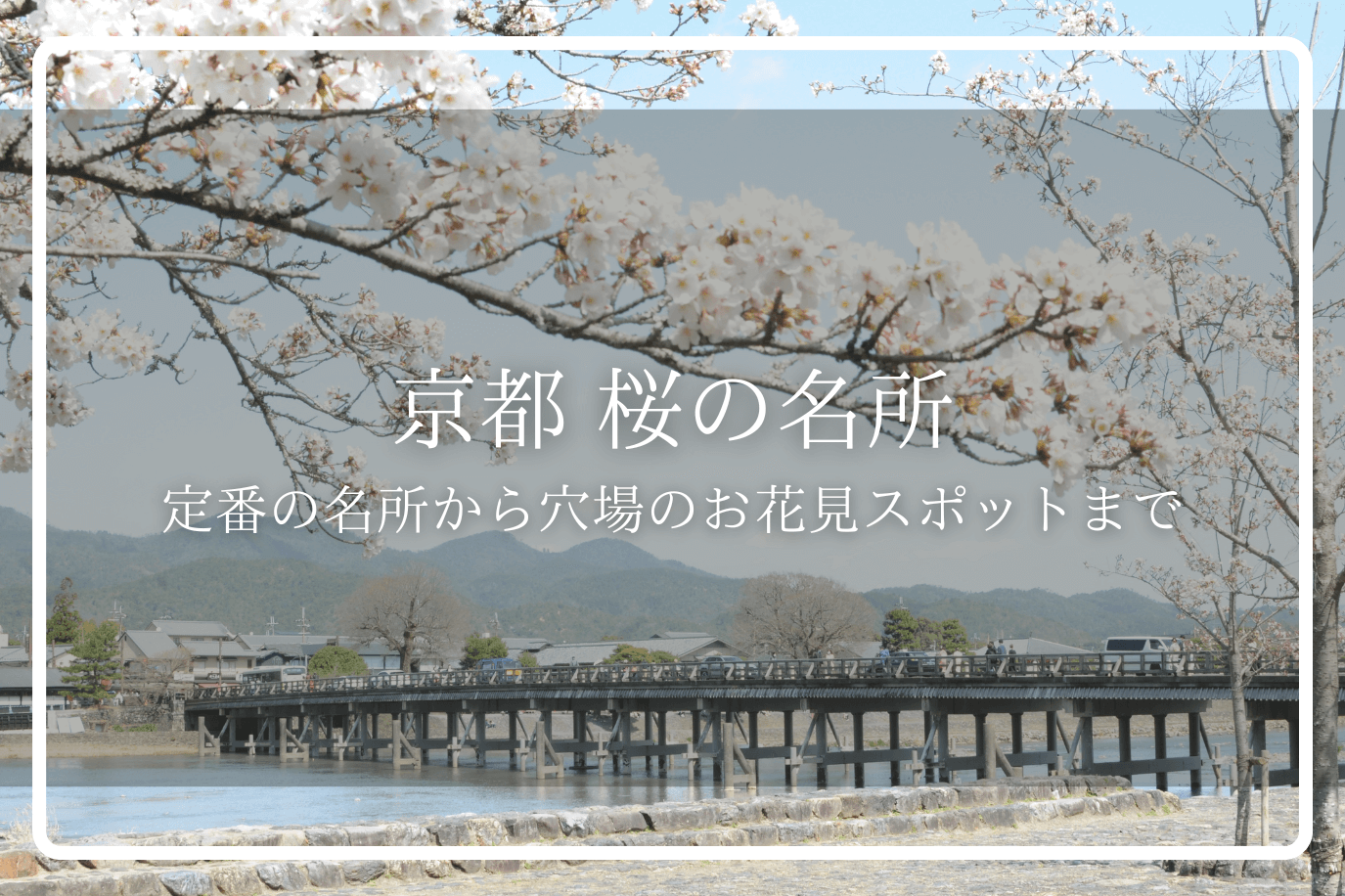 京都の嵐山の渡月橋と桜