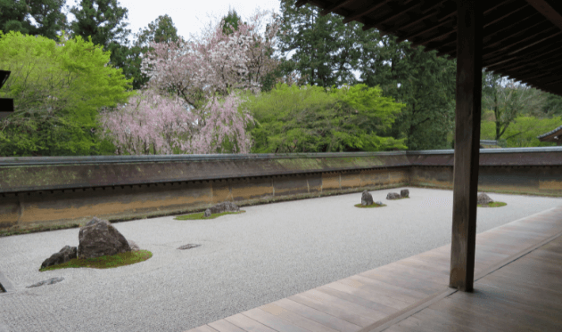 龍安寺の石庭（春）