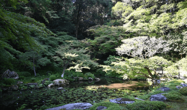 南禅寺の南禅院の庭園