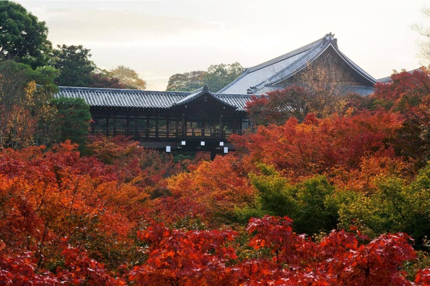 東福寺