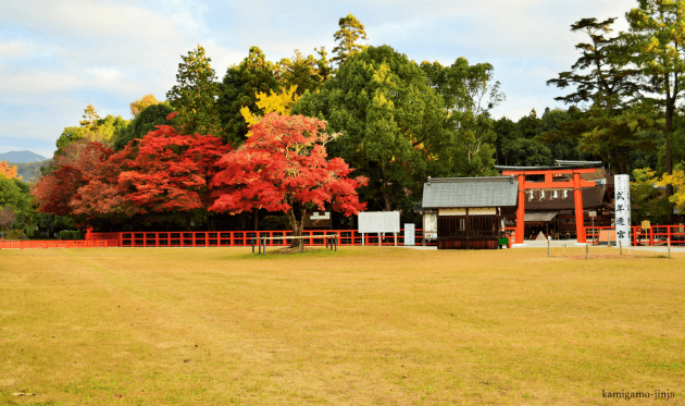 二の鳥居前の紅葉.png