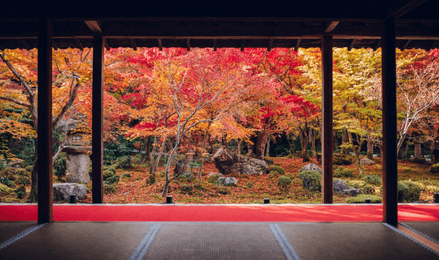 圓光寺本堂から見る十牛之庭（紅葉）