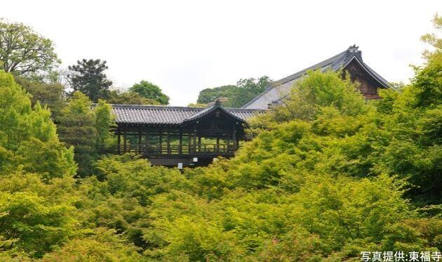 東福寺の通天橋と青もみじ