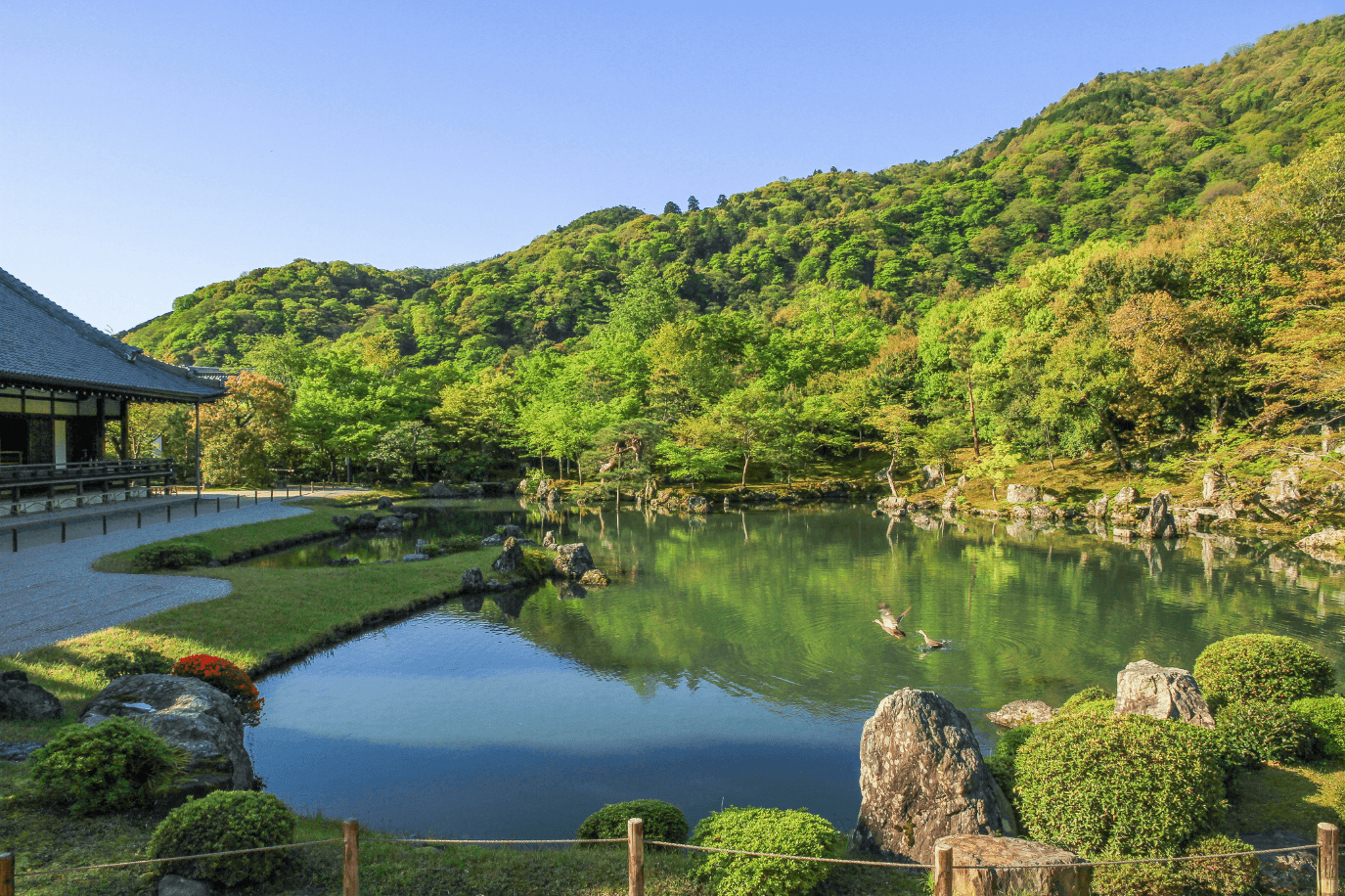 天龍寺メイン画像