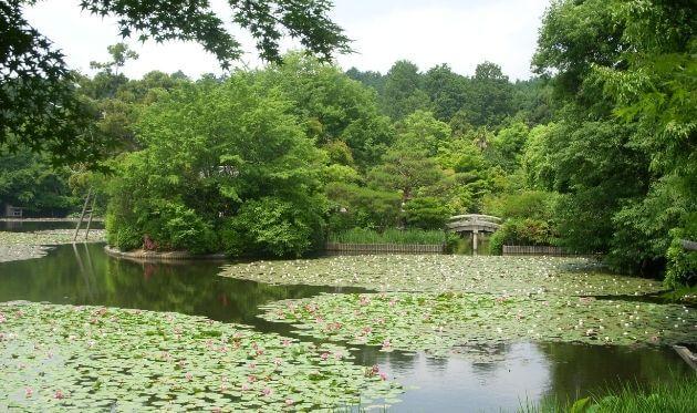 龍安寺　鏡容池　　630×373 (1).jpg