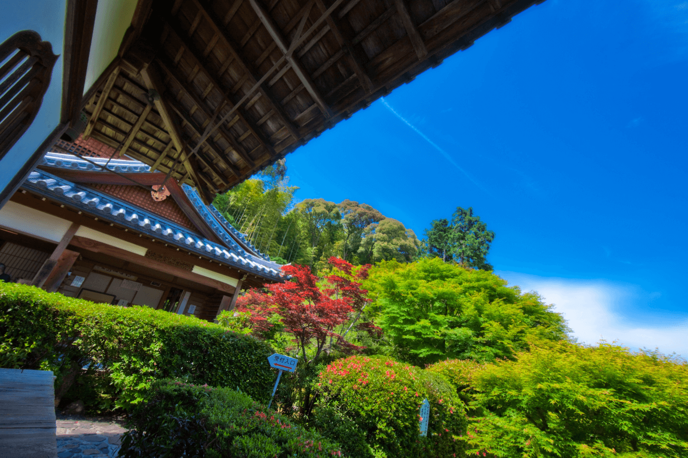 華厳寺の夏の外観