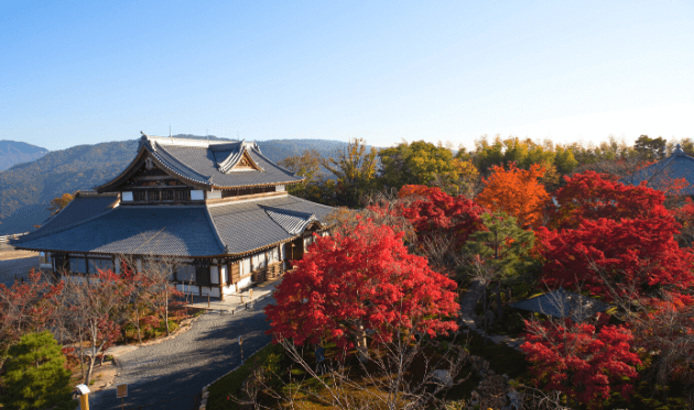 将軍塚青龍殿の高台から見た紅葉