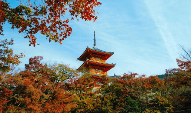 清水寺 三重塔 紅葉.png