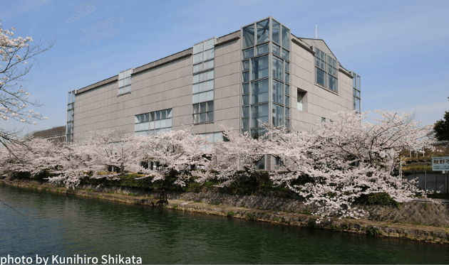 京都国立近代美術館 外観 桜 (1).png