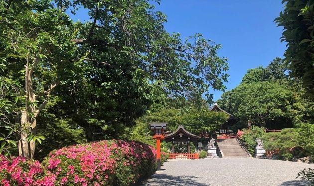 建勲神社 拝殿遠景とさつき