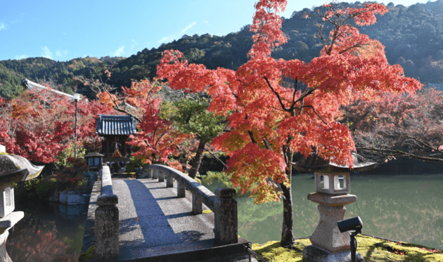 永観堂の放生池と紅葉