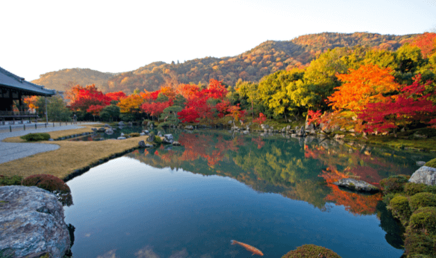 天龍寺の曹源池庭園（秋）