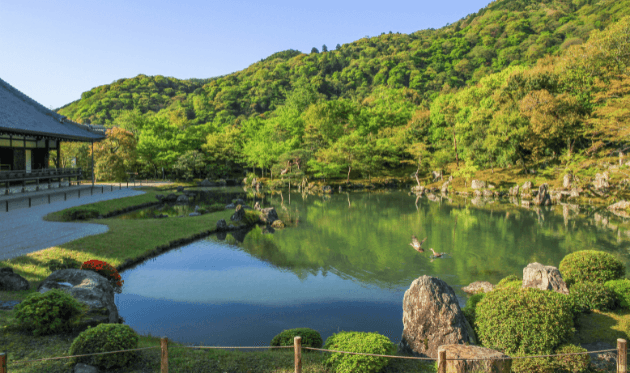 夏の天龍寺.png